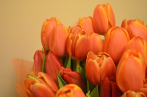 Тюльпаны, оранжевые.